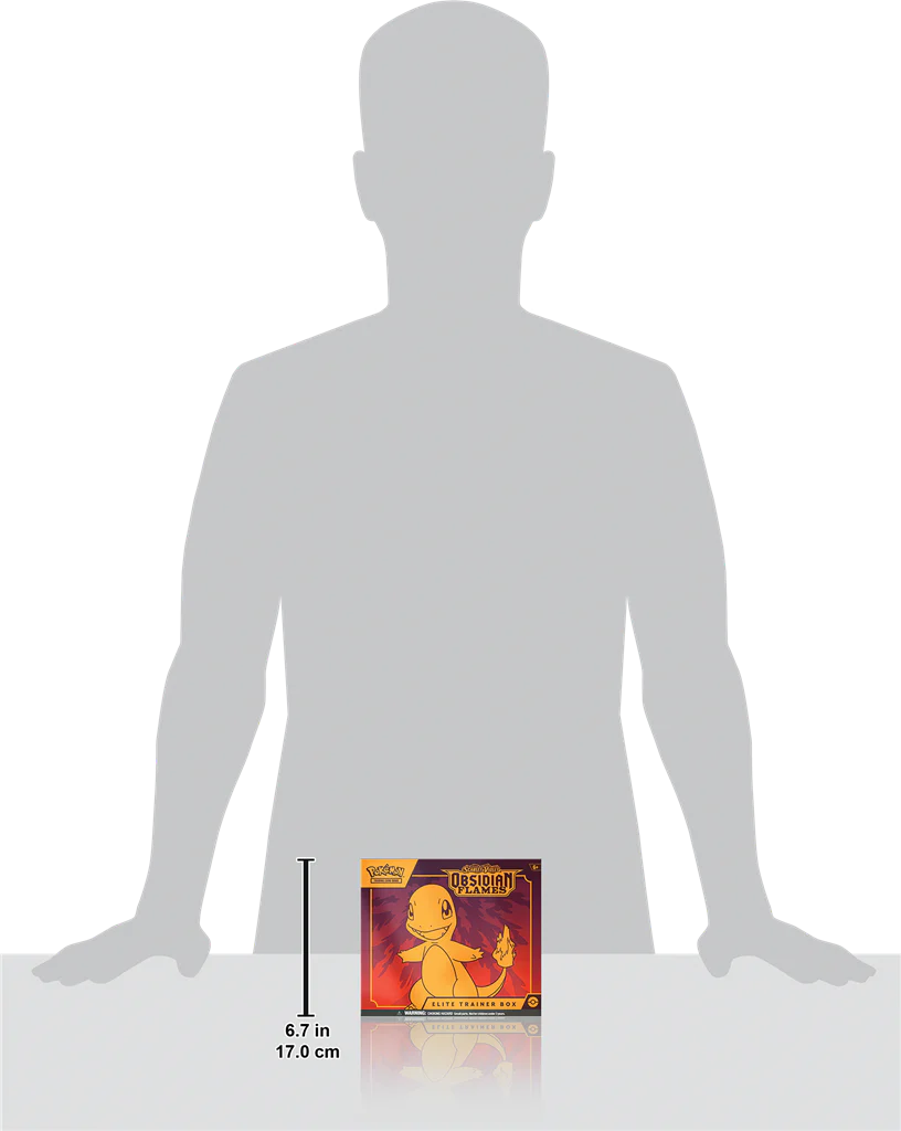 Miniatuur 5